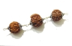 Laxmi Ganesh Rudraksha Shield