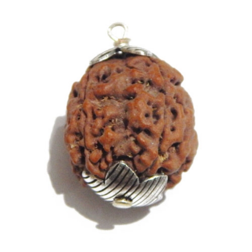 Four face nepali Rudraksha Pendant