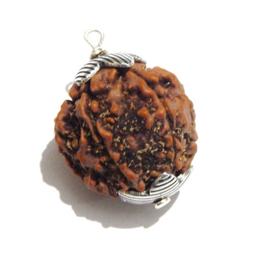 Six Face Rudraksha Pendant